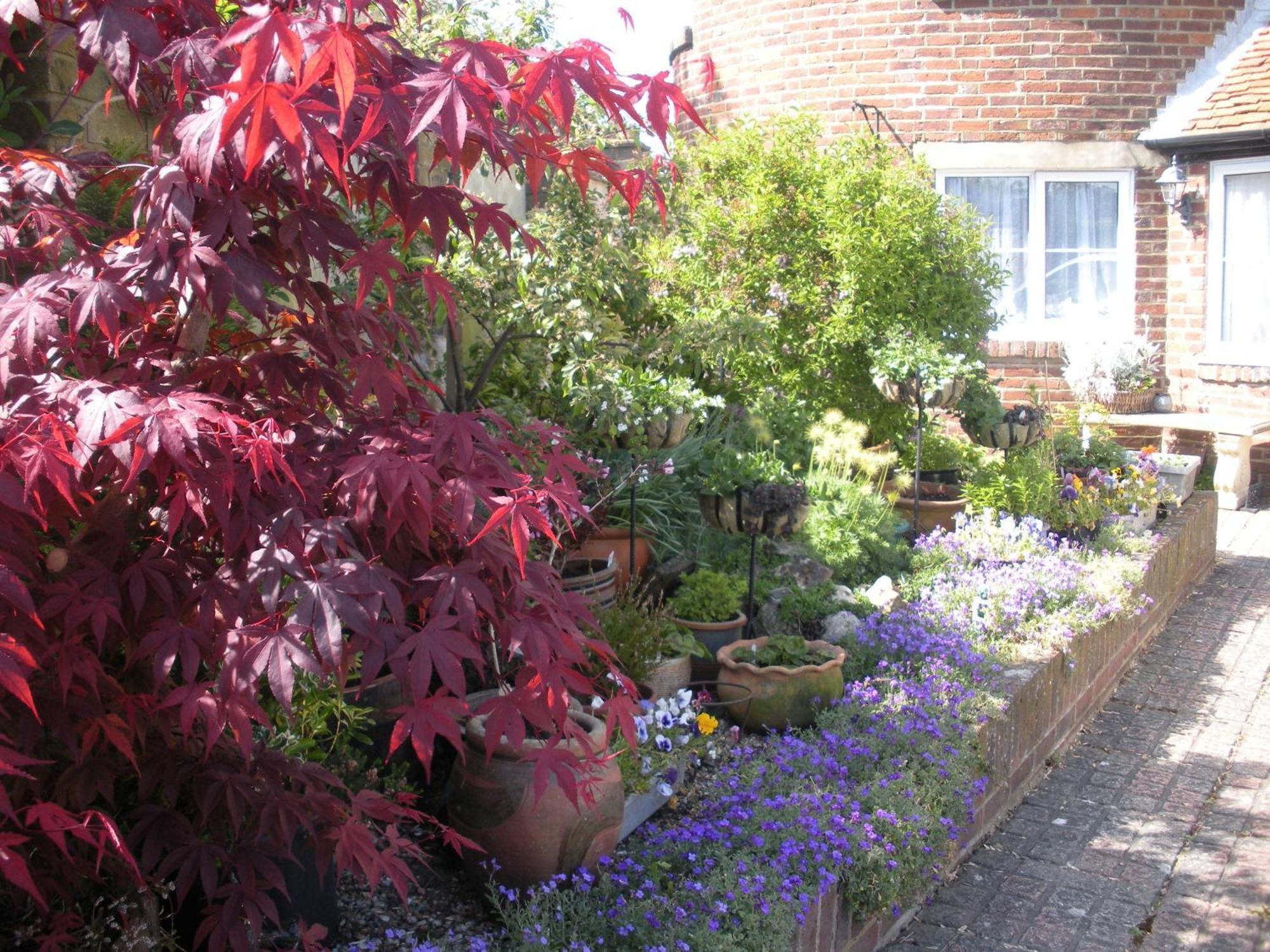 Bed and Breakfast Manor Farm Oast Winchelsea Esterno foto